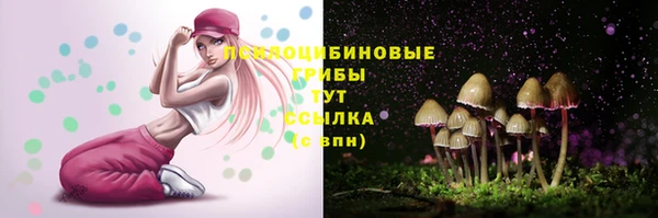 2c-b Богданович