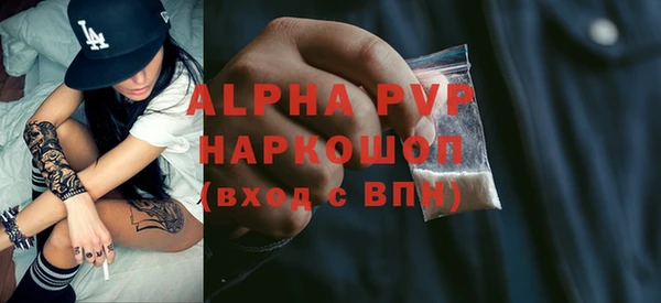 СК Богородицк