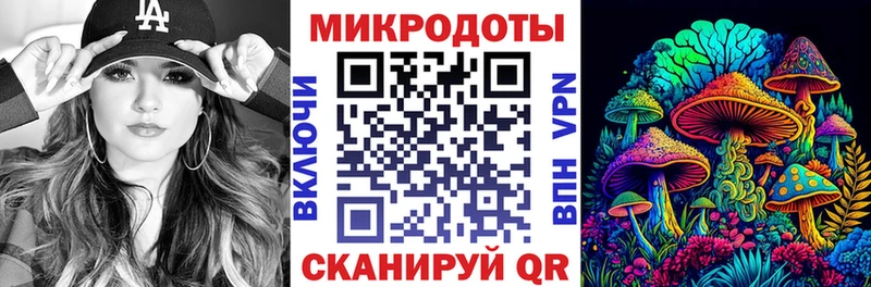 наркота  Верхоянск  Псилоцибиновые грибы Psilocybine cubensis 